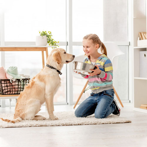 Empaques para Alimentos para Mascotas