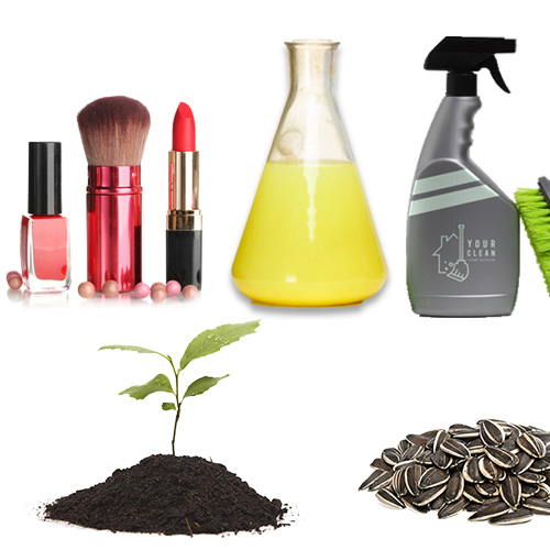 Empaques para Productos No Alimenticios y Otros Productos